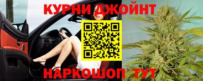 СК Бийск
