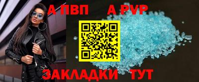 СК Бийск