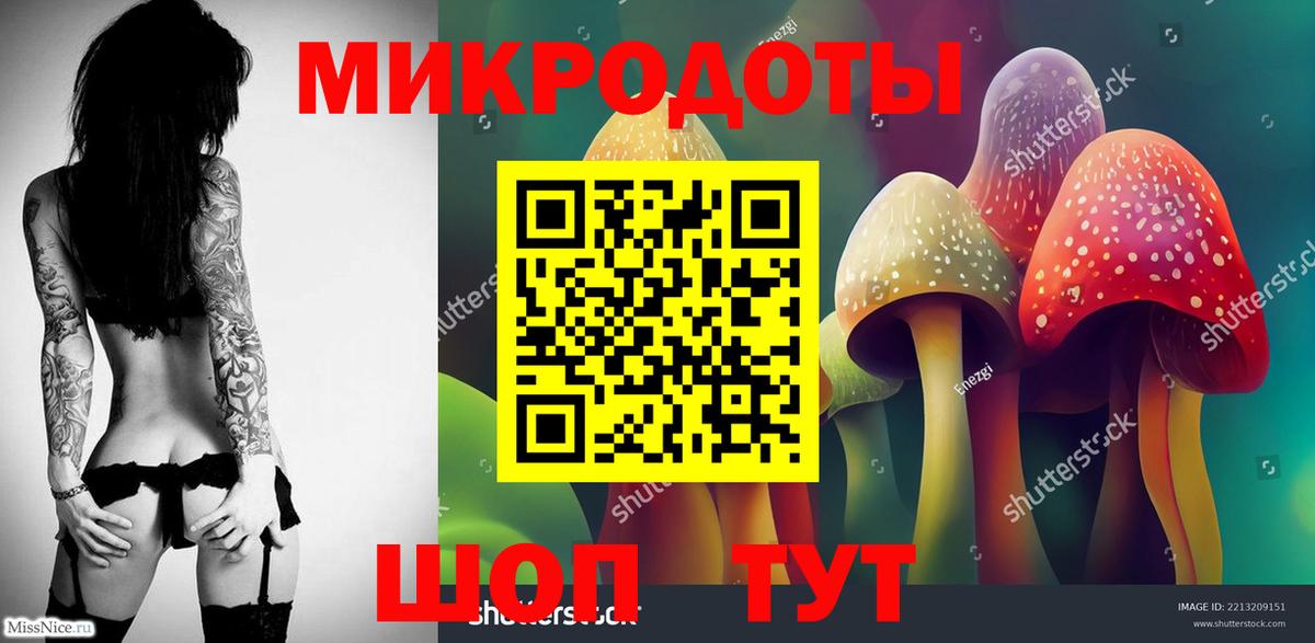 Галлюциногенные грибы Psilocybe Кизилюрт
